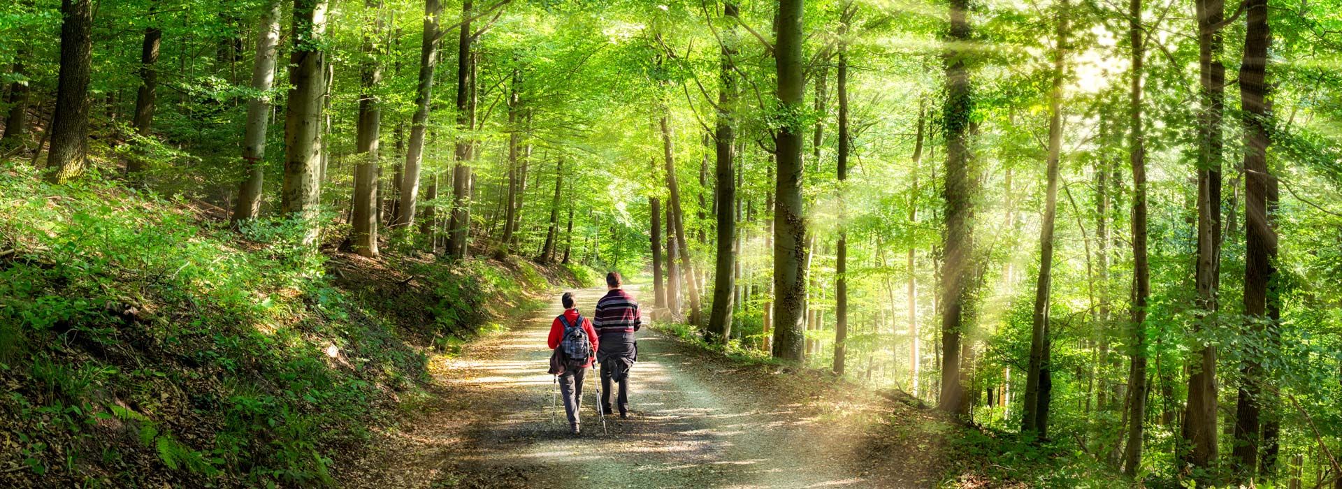 I cammini dell'acqua | Publiacqua