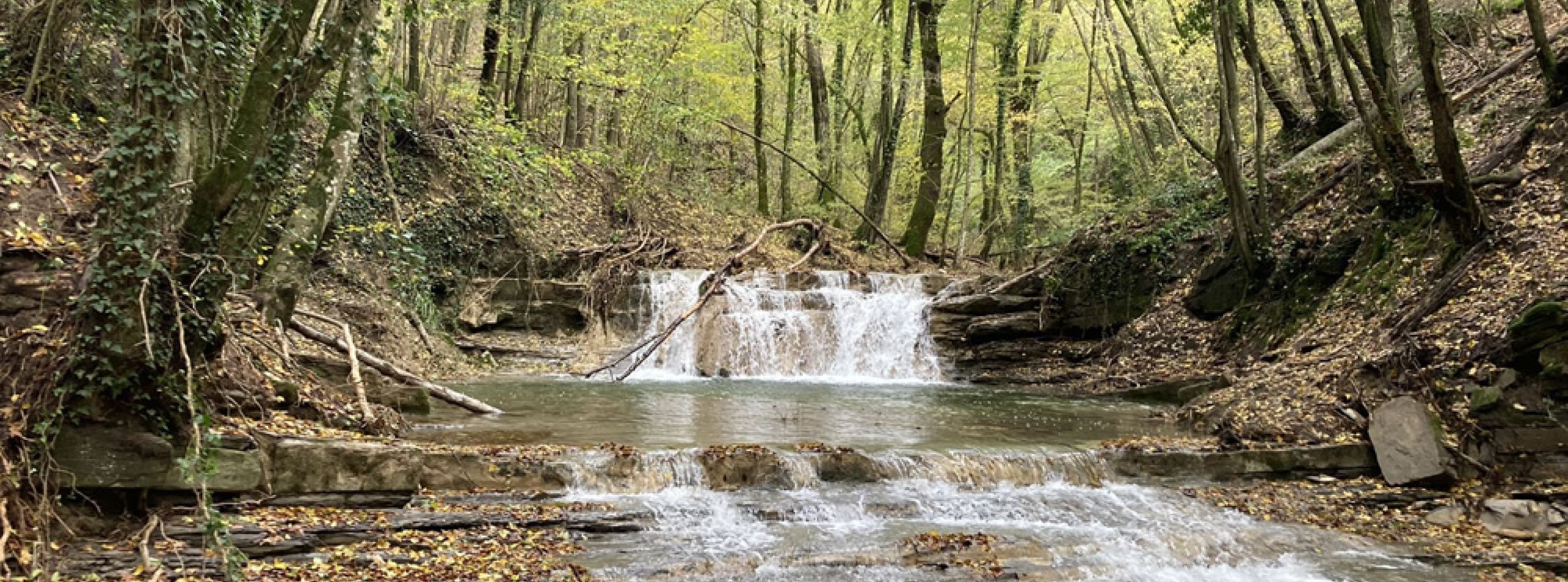 La risalita del Rio Farfareta