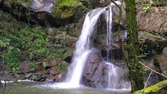 Le Vie dell'Acqua: Rio Carpineto. Un percorso da conoscere e vivere