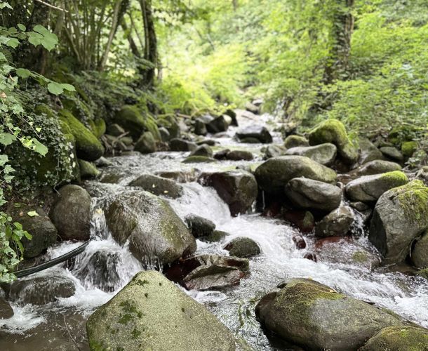 images/percorsi/area-pistoiese/vie-delle-buri/gallery/coeprtina-vie-buri.jpg#joomlaImage://local-images/percorsi/area-pistoiese/vie-delle-buri/gallery/coeprtina-vie-buri.jpg?width=2560&height=1440