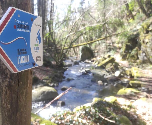 images/percorsi/valdarno/nella_foresta_sant_antonio/gallery/foresta-00.jpg#joomlaImage://local-images/percorsi/valdarno/nella_foresta_sant_antonio/gallery/foresta-00.jpg?width=1920&height=1080