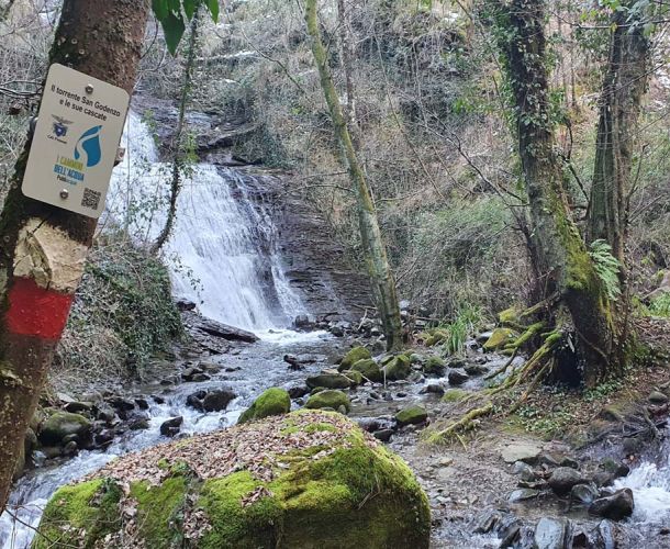 images/percorsi/valdisieve/torrenti-cascate-valle-godenzo/gallery/cascate-01.jpg#joomlaImage://local-images/percorsi/valdisieve/torrenti-cascate-valle-godenzo/gallery/cascate-01.jpg?width=1000&height=750