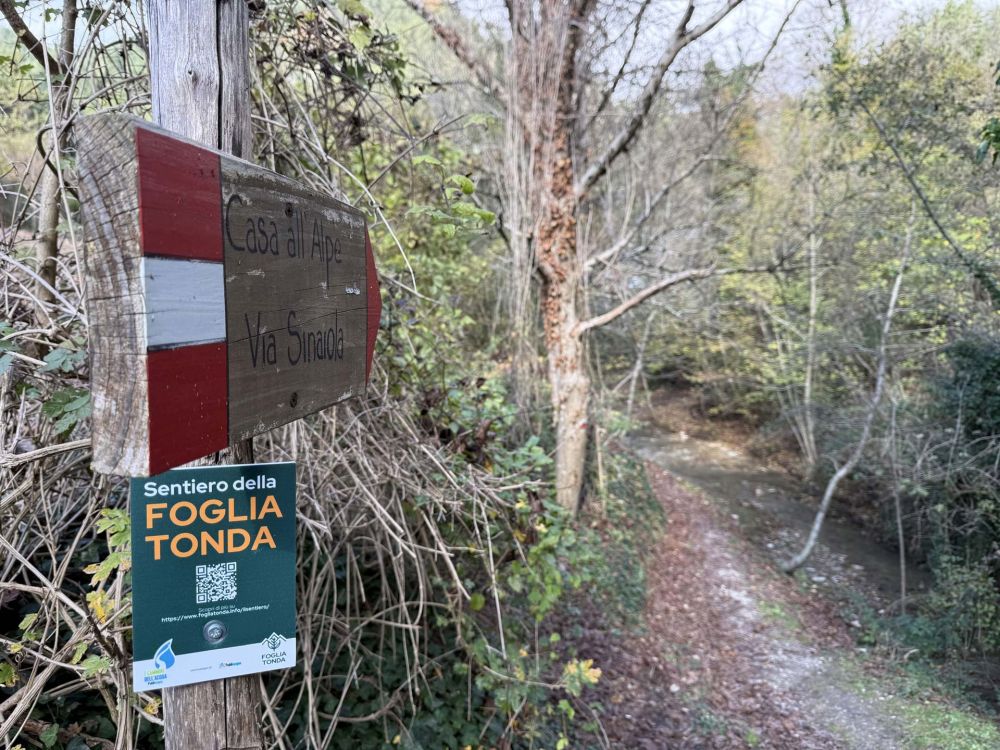 Il Sentiero della Foglia Tonda