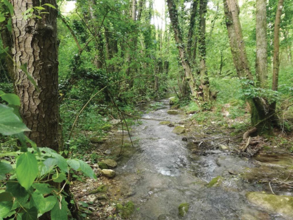 Percorso escursionistico sensoriale del torrente Carzola