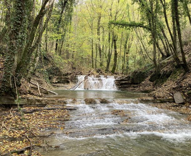 images/percorsi/mugello/risalita-rio-farfareta/gallery/01-rio-farfareta-mugello.jpg#joomlaImage://local-images/percorsi/mugello/risalita-rio-farfareta/gallery/01-rio-farfareta-mugello.jpg?width=1000&height=750