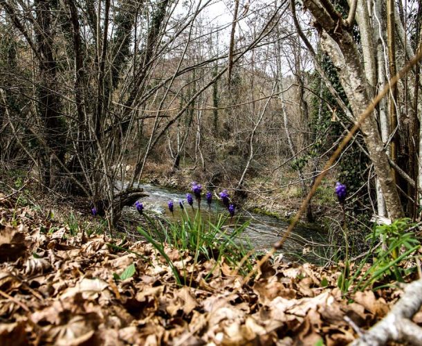 images/percorsi/chianti/percorso-lungo-la-pesa/gallery/sentiero-della-pesa-13.jpg#joomlaImage://local-images/percorsi/chianti/percorso-lungo-la-pesa/gallery/sentiero-della-pesa-13.jpg?width=1000&height=750