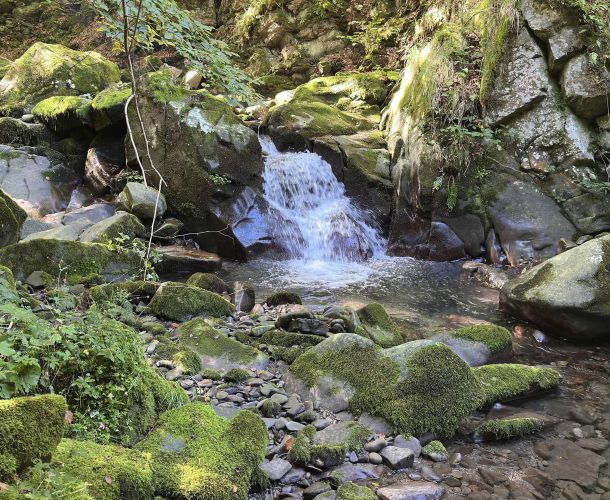 images/percorsi/area-pistoiese/cammino-delle-sorgenti/gallery/cammino-sorgenti-01.jpg#joomlaImage://local-images/percorsi/area-pistoiese/cammino-delle-sorgenti/gallery/cammino-sorgenti-01.jpg?width=3840&height=2160