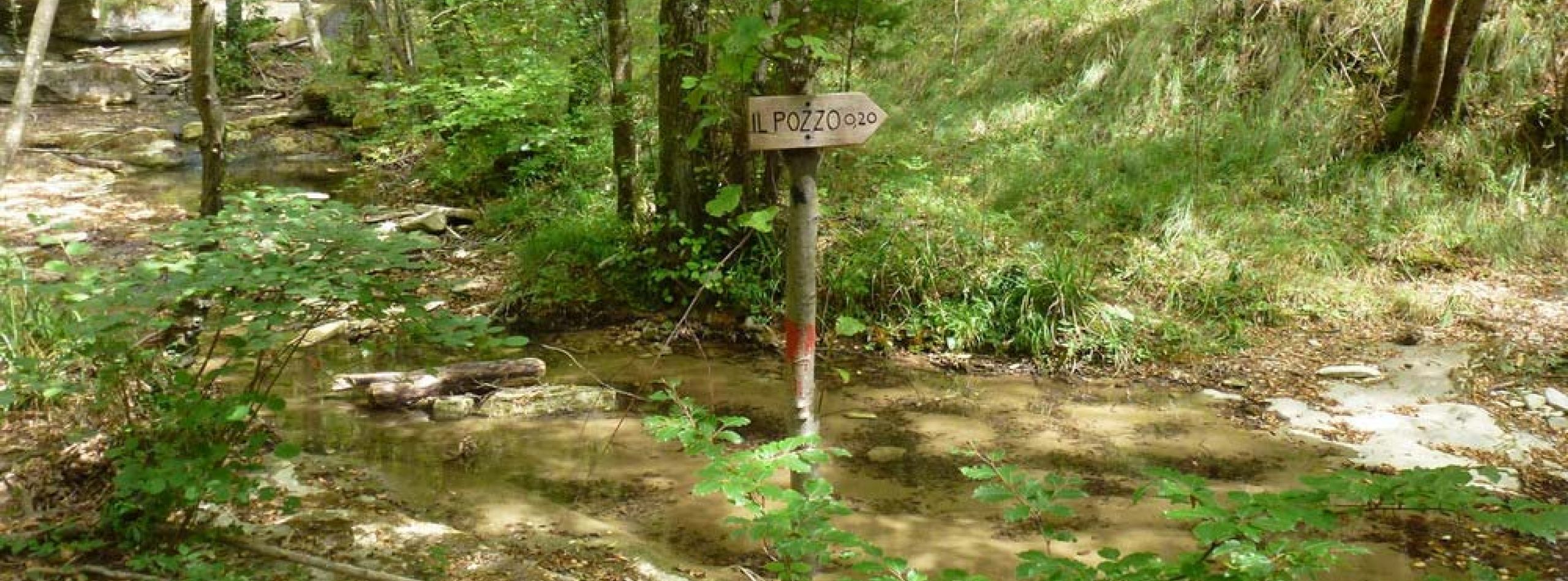 La valle del Muccione, da Gattaia alla Giogana