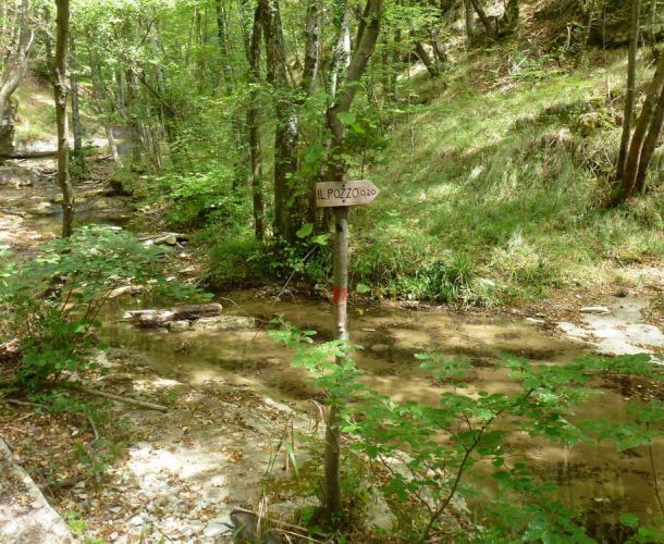 images/percorsi/mugello/la-valle-del-muccione/gallery/Muccione.jpg#joomlaImage://local-images/percorsi/mugello/la-valle-del-muccione/gallery/Muccione.jpg?width=1000&height=750