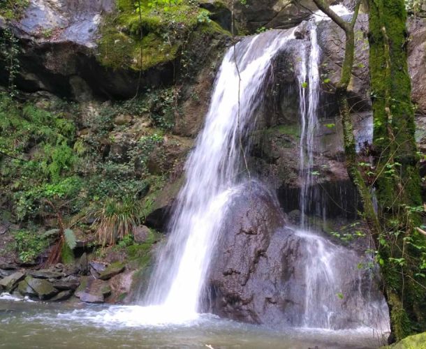 images/percorsi/area-pratese/rio-carpineto/gallery/rio-carpineto-02.jpg#joomlaImage://local-images/percorsi/area-pratese/rio-carpineto/gallery/rio-carpineto-02.jpg?width=1000&height=750