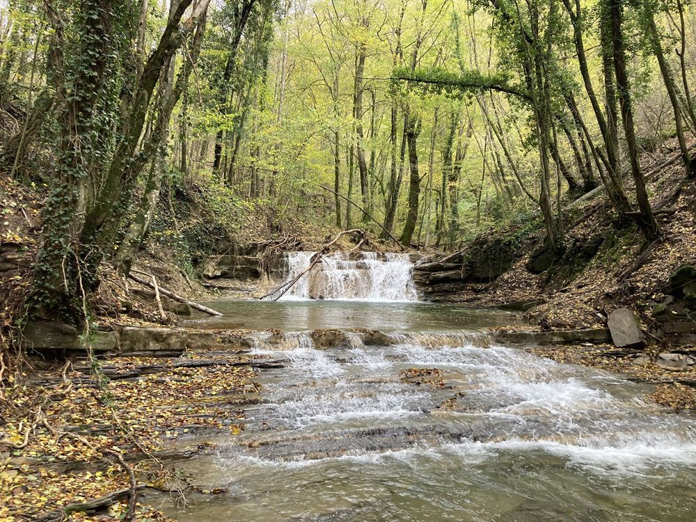 La risalita del Rio Farfareta