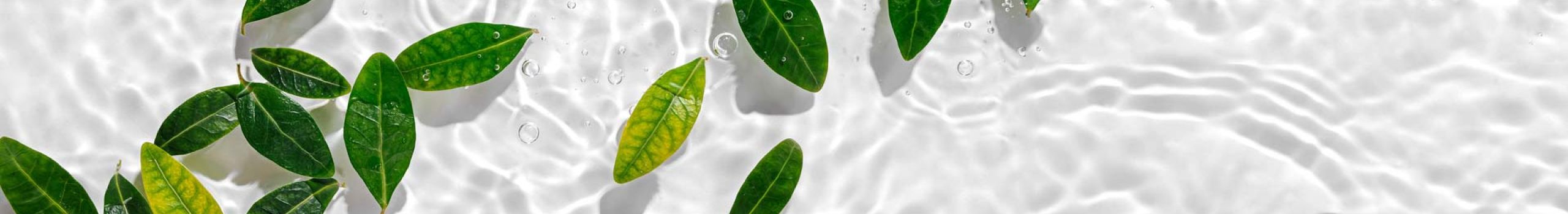 I Cammini dell'Acqua | Publiacqua