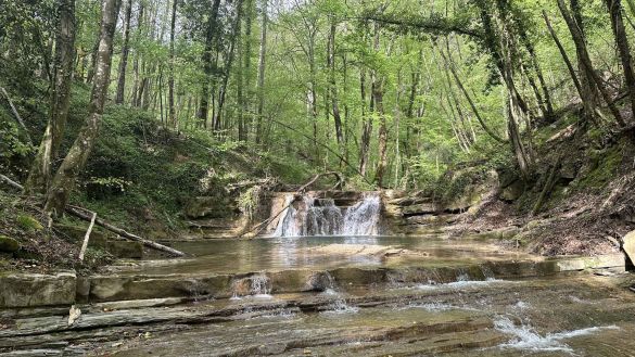 La risalita del Rio Farfereta: il nuovo cammino dell'acqua di Borgo San Lorenzo