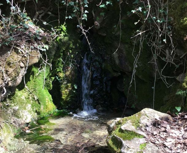 images/percorsi/area-metropolitana-firenze/anello-fonti-morello/gallery/percorso-fonti-morello-05-oriz.jpg#joomlaImage://local-images/percorsi/area-metropolitana-firenze/anello-fonti-morello/gallery/percorso-fonti-morello-05-oriz.jpg?width=1000&height=750