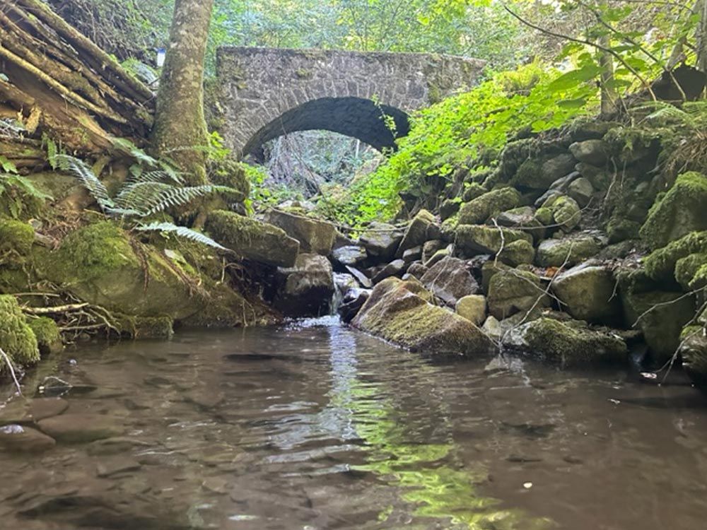 Sentiero 169 Pracchia-Ponte della Venturina