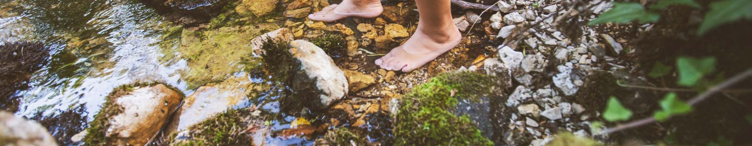 I cammini dell'acqua | Publiacqua
