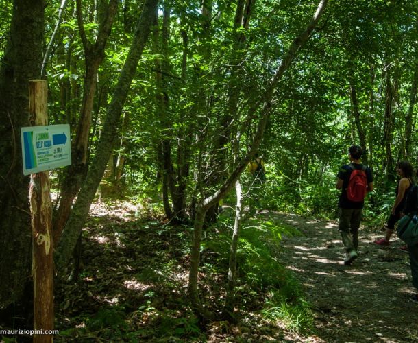 images/percorsi/area-pistoiese/parco-letterario-policarpo-petrocchi/gallery/13-Parco-Letterario-Policarpo-Petrocchi.jpg#joomlaImage://local-images/percorsi/area-pistoiese/parco-letterario-policarpo-petrocchi/gallery/13-Parco-Letterario-Policarpo-Petrocchi.jpg?width=1000&height=750