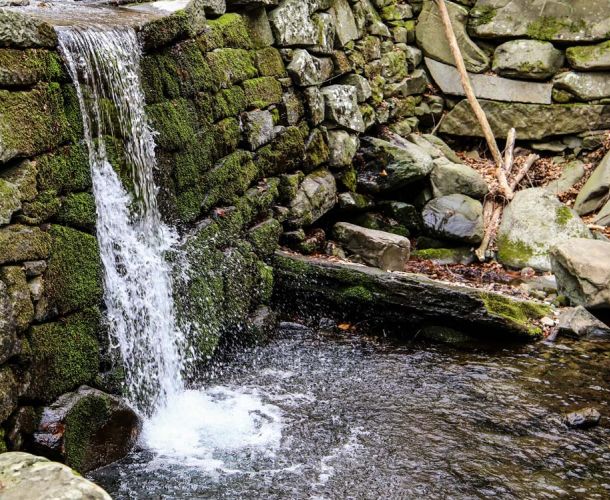 images/percorsi/valdarno/pendici-pratomagno-lungo-torrente-re/gallery/cammino-reggello-pratomagno-28.jpg#joomlaImage://local-images/percorsi/valdarno/pendici-pratomagno-lungo-torrente-re/gallery/cammino-reggello-pratomagno-28.jpg?width=1000&height=750