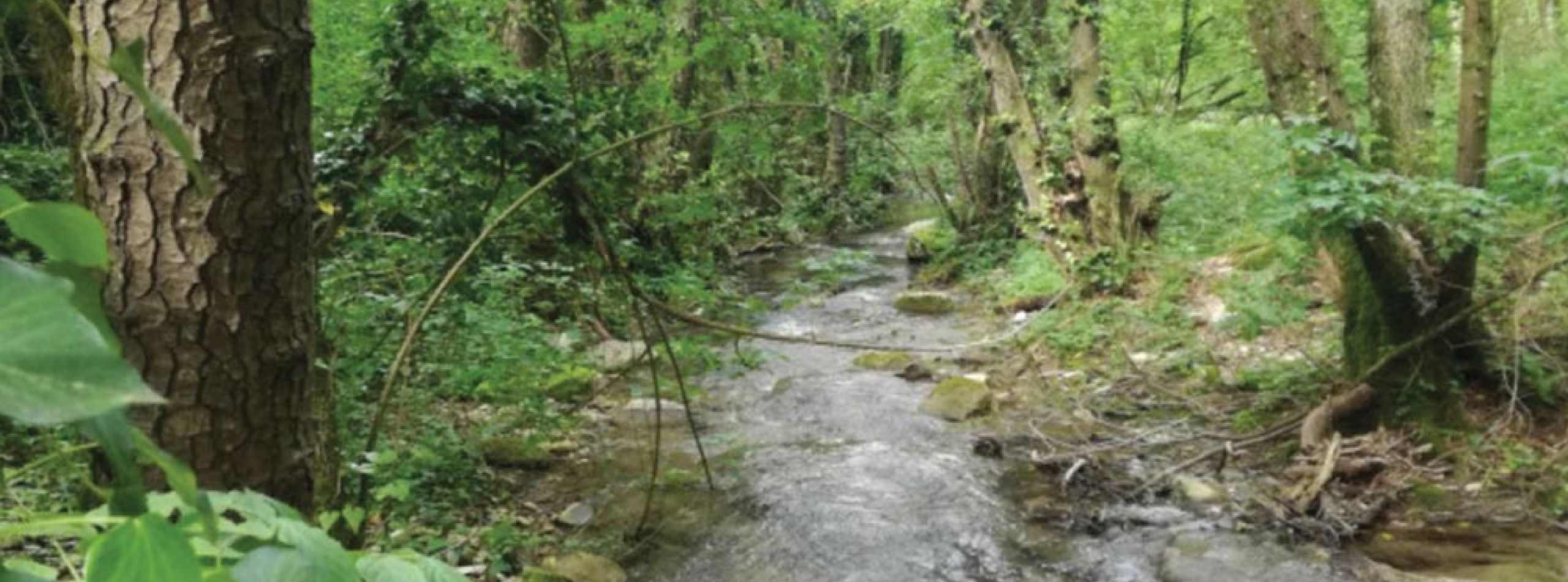 Percorso escursionistico sensoriale del torrente Carzola
