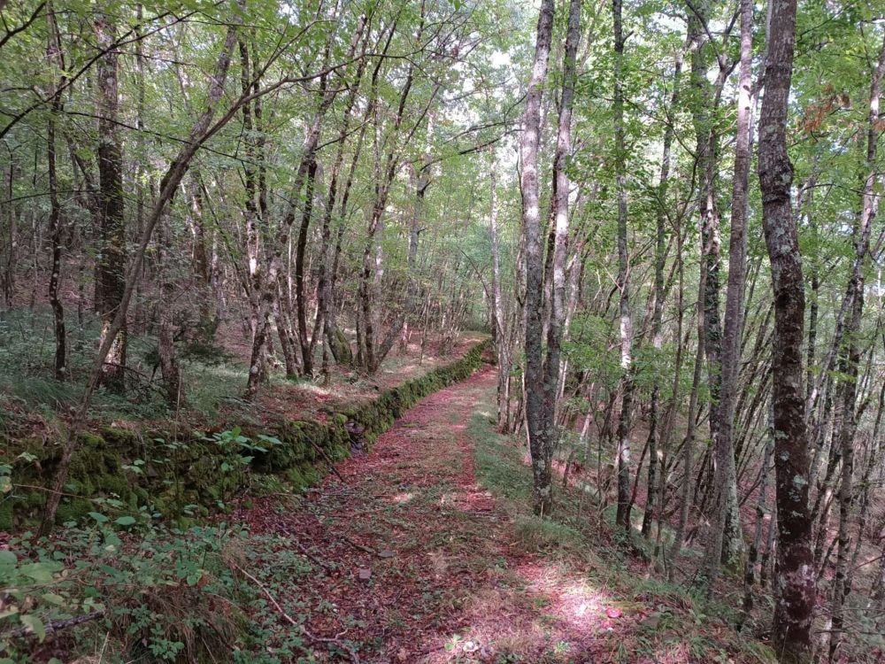 Riflessi di Serignana